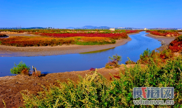 每年的2月2日是世界湿地日,2016年湿地日的主题是"湿地与未来:可持续