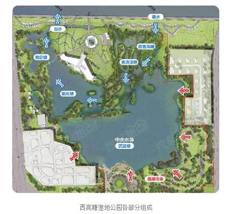 俊发西亮塘湿地公园将建"环境科研教育基地"