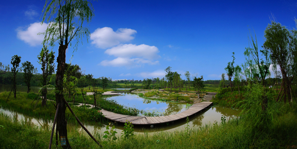 白鹭湾