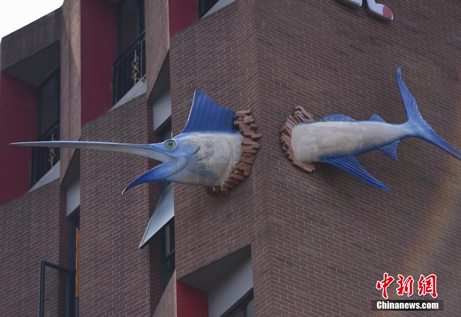 重庆高楼现3米剑鱼穿墙过