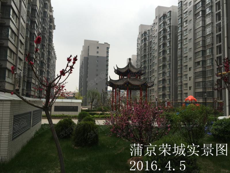 万紫千红总是春 蒲京荣城项目实景春天美图