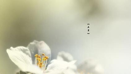 b_380226928.jpg
