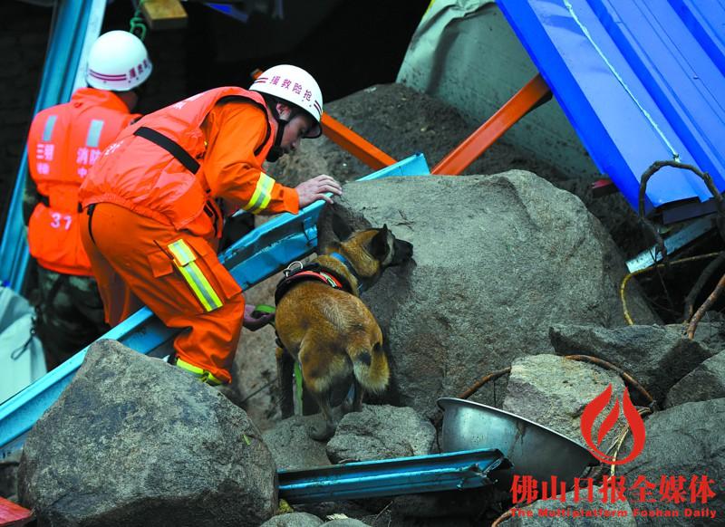 5月8日,消防人员利用搜救犬在现场寻找生命迹象/新华社发