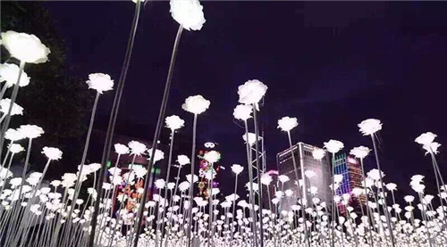 a_380690495.jpg