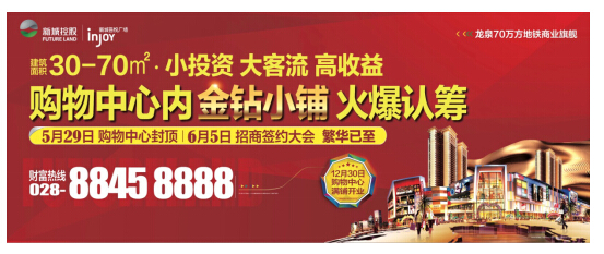 小顶顶_2080小顶顶收入(3)