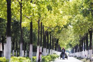 早焦点:昆明获最佳避暑城市 紫云路两宗土地拍卖