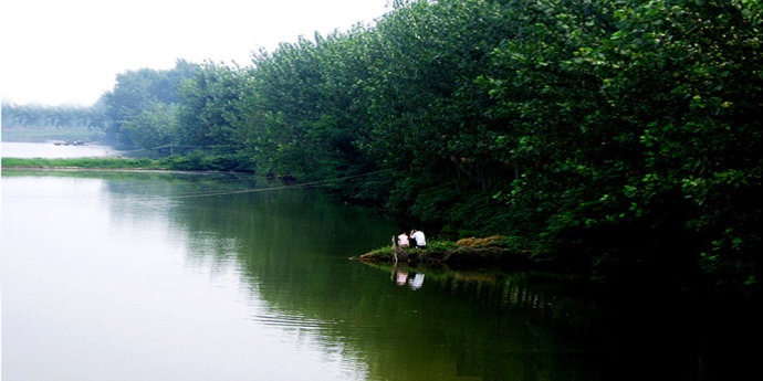 贾鲁河是我市最大的一条河流,流经县(市,区)多,涉及范围广.