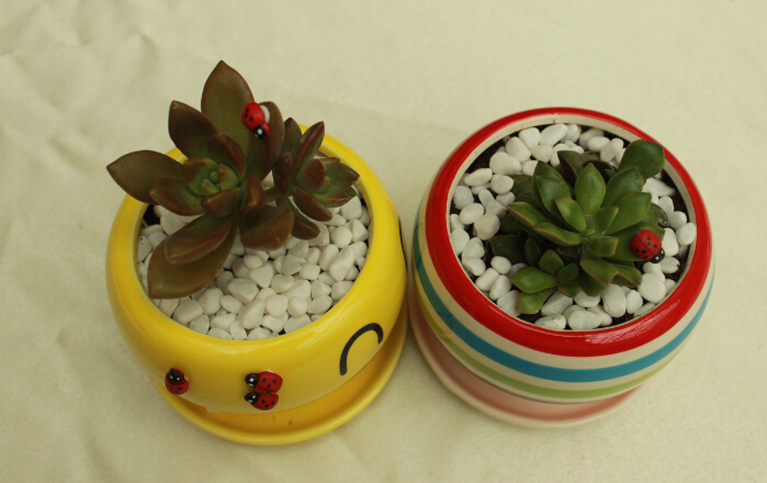 搜狐焦点携观府壹号“缤纷夏日浓情DIY”清凉上演