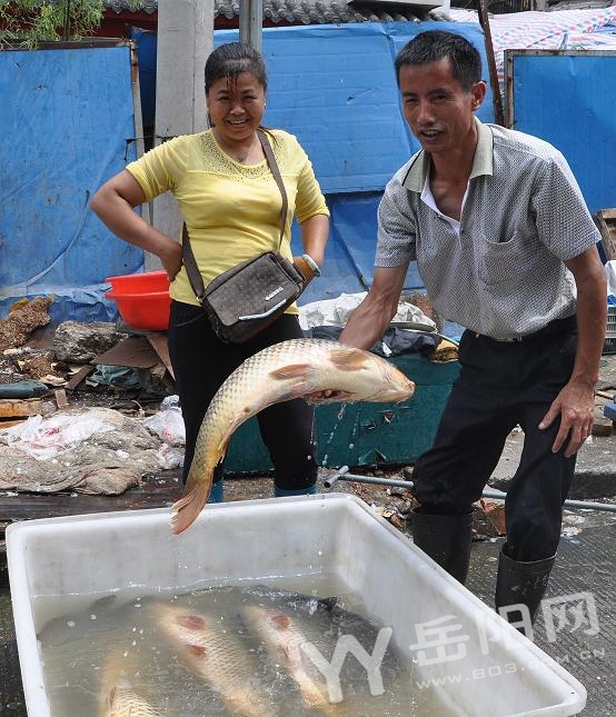 洞庭湖开湖捕捞 鱼虾按个头大小分拣打包发往全国