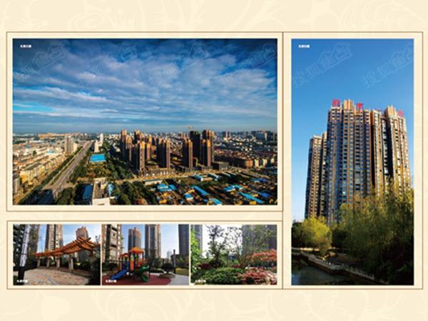 “丽丰一品杯”第14届体育舞蹈锦标赛7月16日开赛