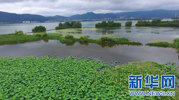 昆明滇池环湖生态恢复建设成果 美景如画(组图)-房产新闻-武汉搜狐焦点网