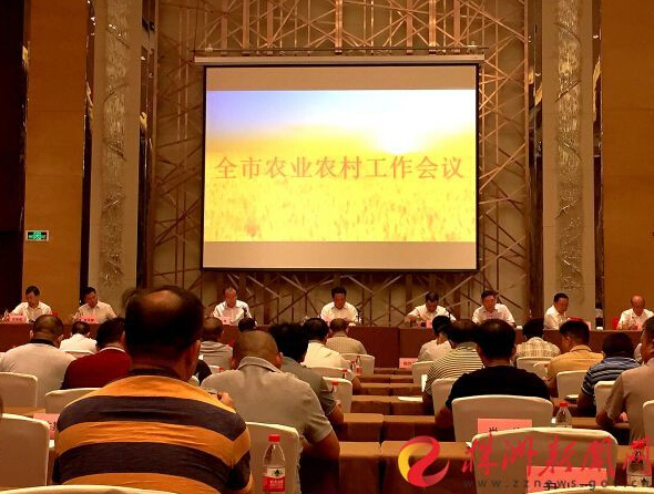 收入证明_上半年农民收入