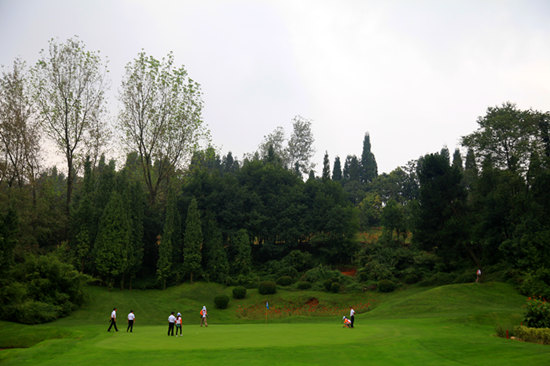 高尔夫果岭_高尔夫果岭收入(2)