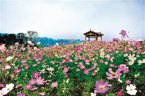 巴南打造重庆主城旅游休闲大区