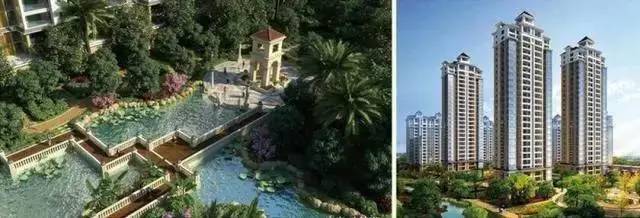 国庆引爆红树湾!搜狐焦点