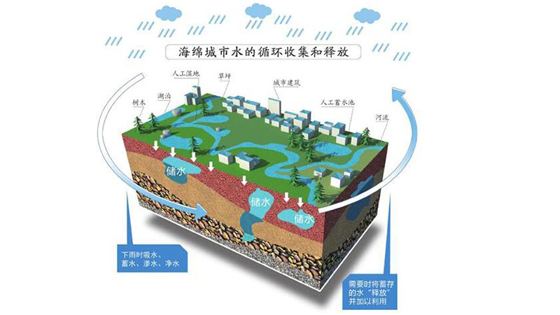 浦东启动海绵城市建设 区域盘竟能"呼吸"
