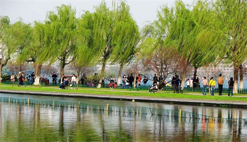 诸暨旅游景点_诸暨旅游收入