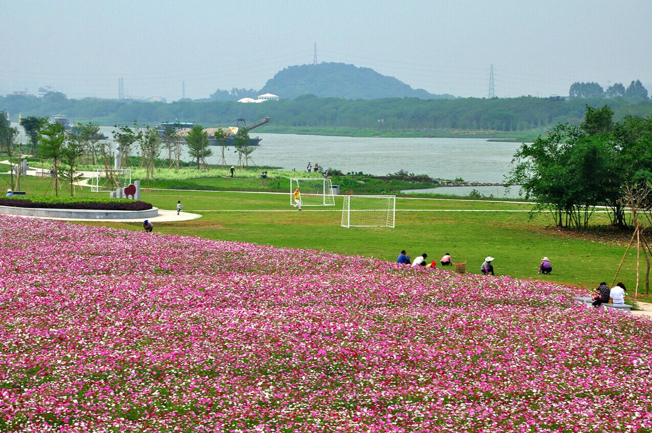 涟岸 抗霾神器:绿岛湖 绿岛湖位于佛山市禅城区南庄镇东北部的生态