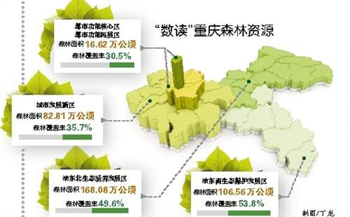 重庆新增森林面积逾18万公顷 森林覆盖率达45.4%