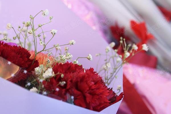 a_391078211.jpg