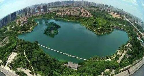 与很多大型公园不同的是,彩云湖公园内所有的草坪都是可供游人玩耍的
