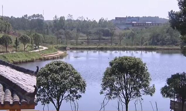 常委会党组副书记,副主任段志刚率市直有关部门负责人赴衡南县栗江镇