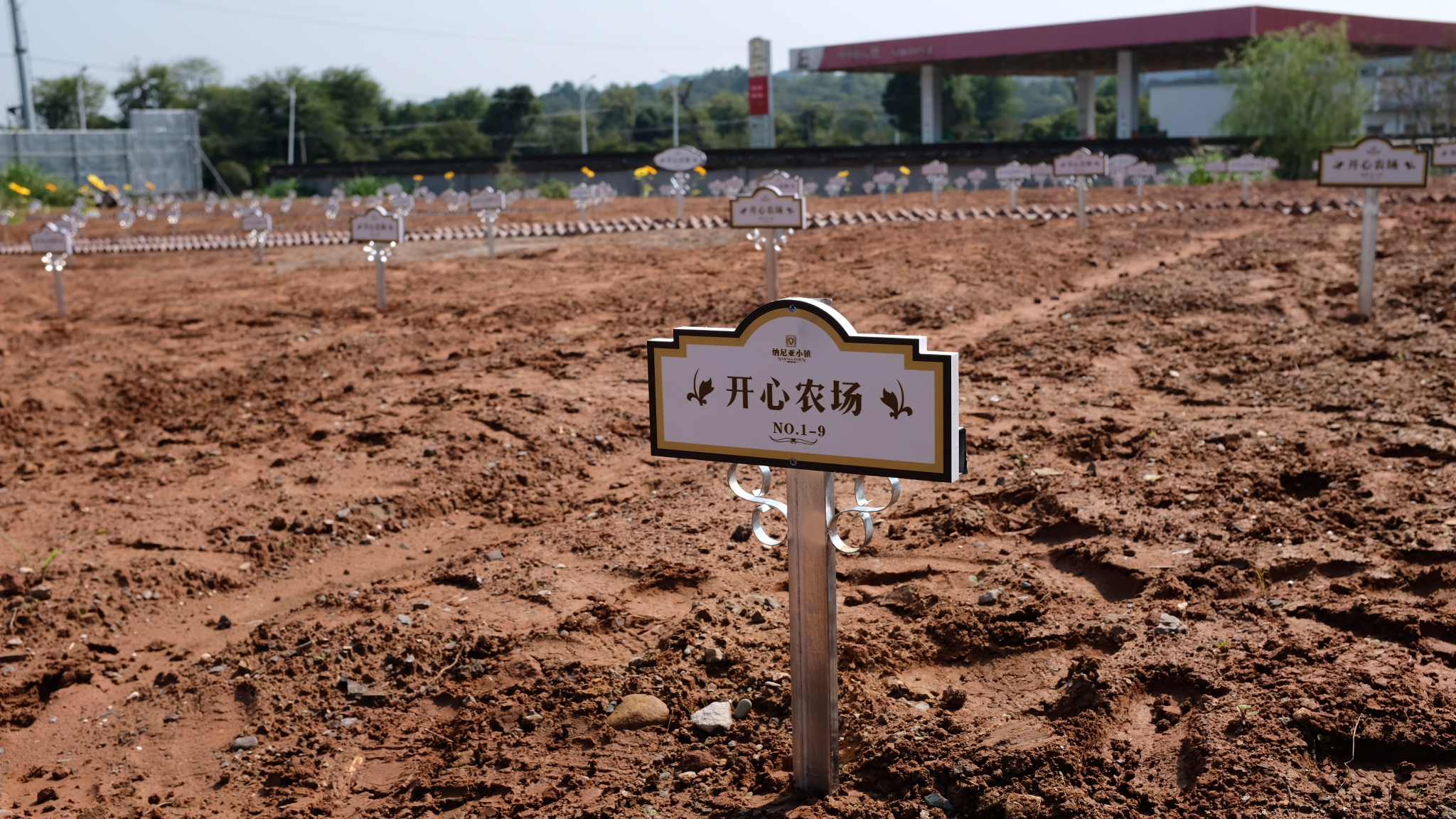 黄山纳尼亚小镇开心农场开园!一起来做农场主!