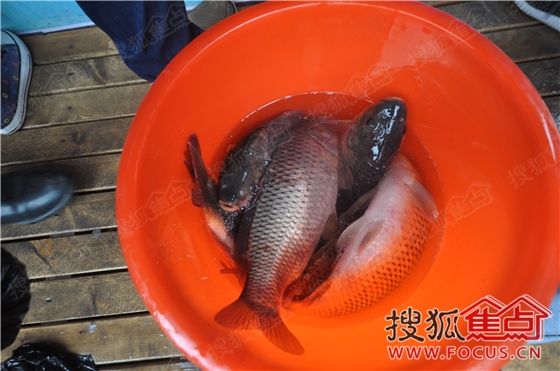 a_382244207.jpg