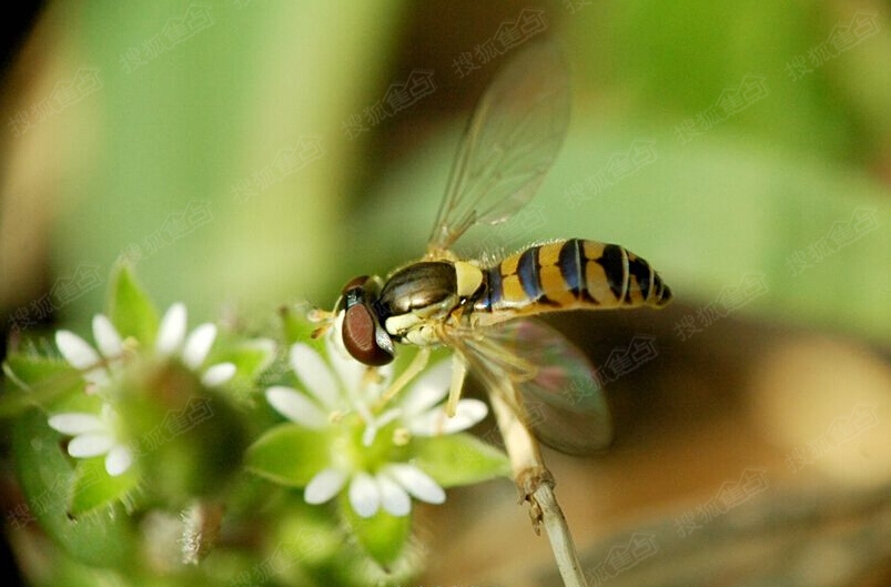 b_340168068.jpg