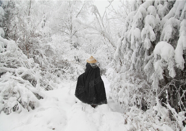 千山鸟飞绝,万径人踪灭.孤舟蓑笠翁,独钓寒山雪.这是我的背影.