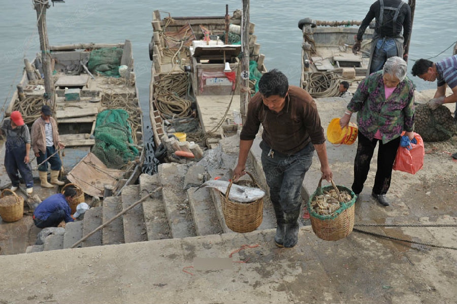 青岛吃海鲜的地方_深圳澳头吃海鲜_女人的秘密地方有毛