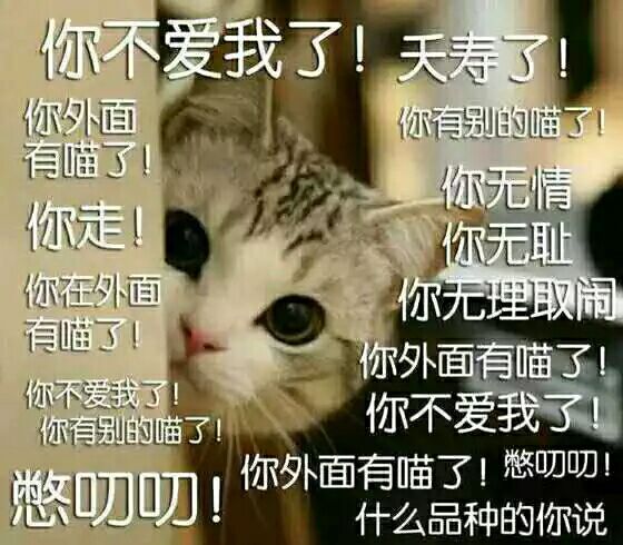 a_380294485.jpg