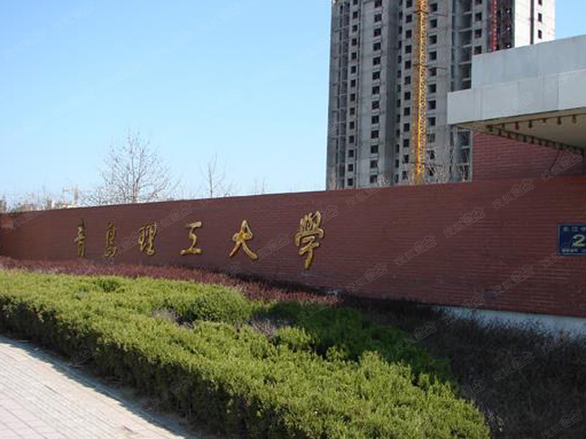 青岛理工大学 青岛农业大学 青岛科技大学 烟台大学,鲁东大学,哪个好.