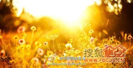 b_77942184.jpg