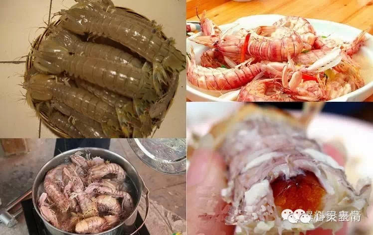 两头尖螃蟹