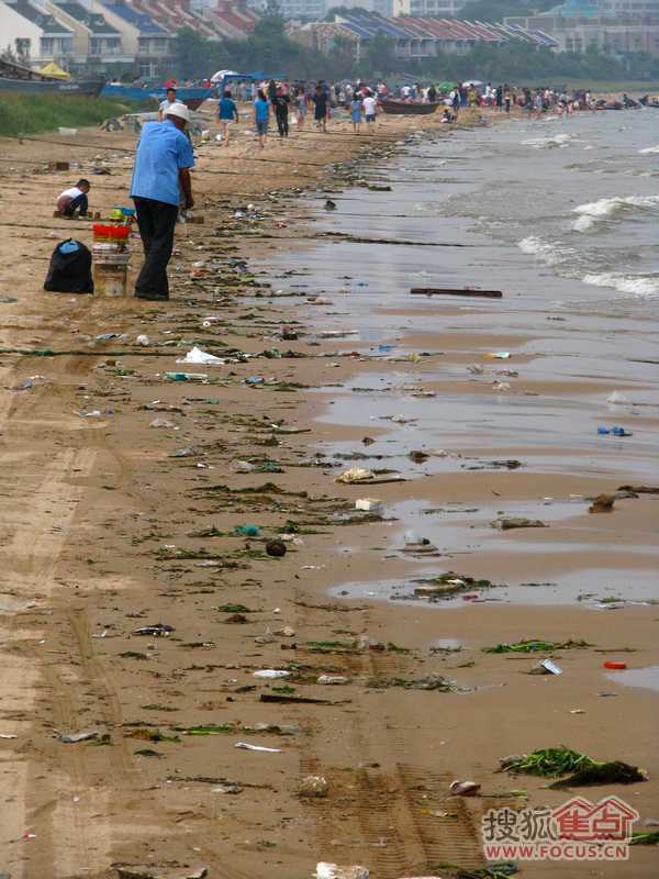 秦皇岛海鲜池_秦皇岛的海鲜的名称_湛江海鲜