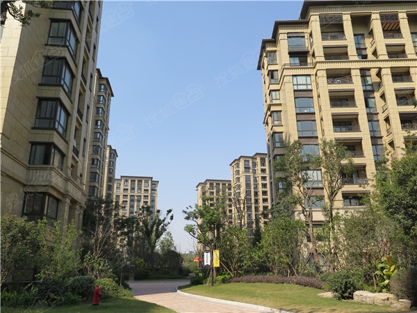 【爱自拍赢iphone6】保利叶之林,高清美图大奖非我莫得