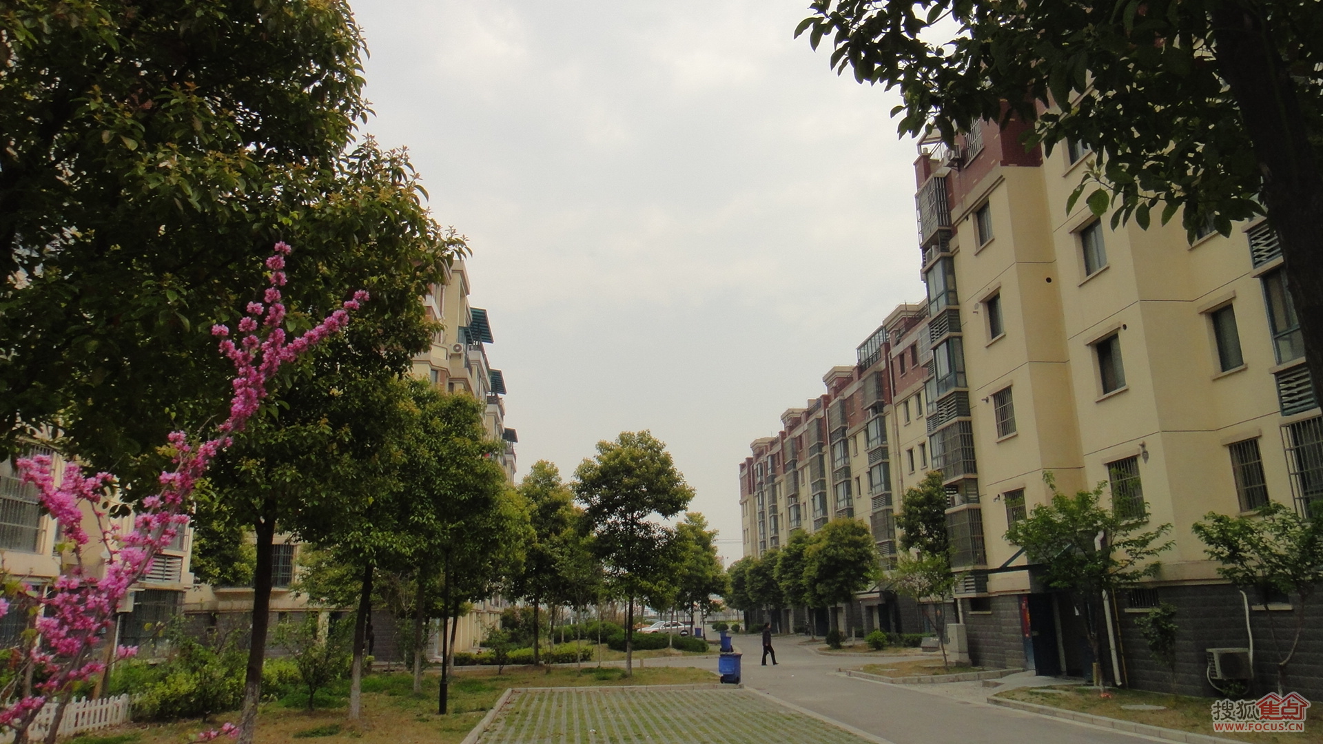 东景苑商业街