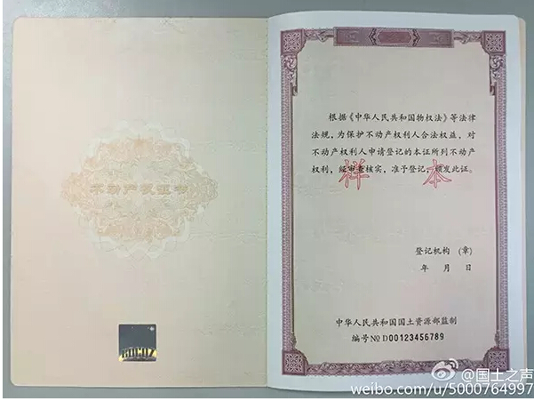 a_373856093.jpg