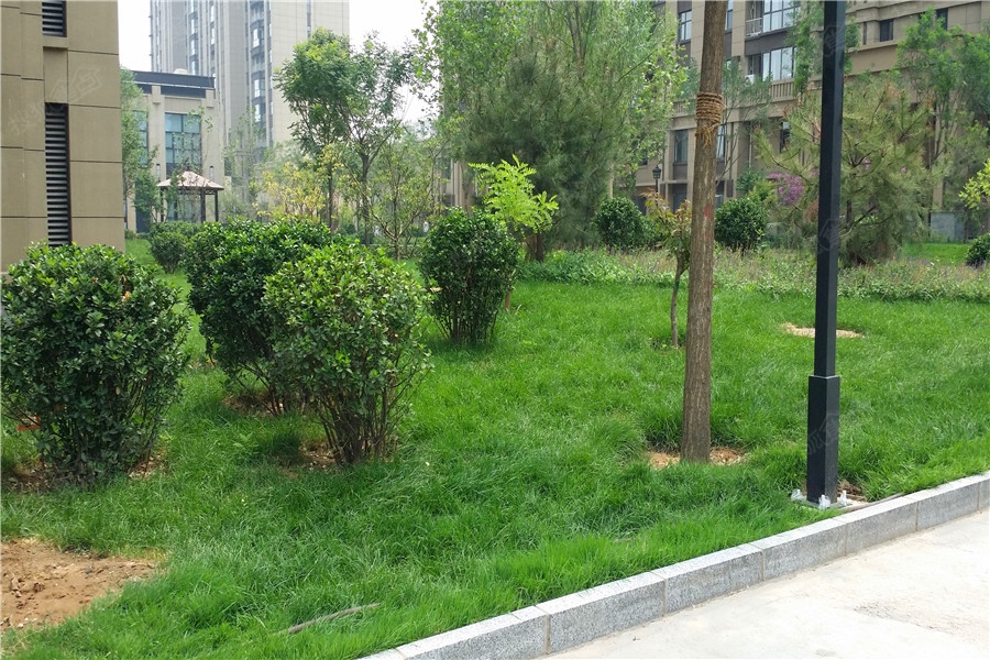 a_382420809.jpg