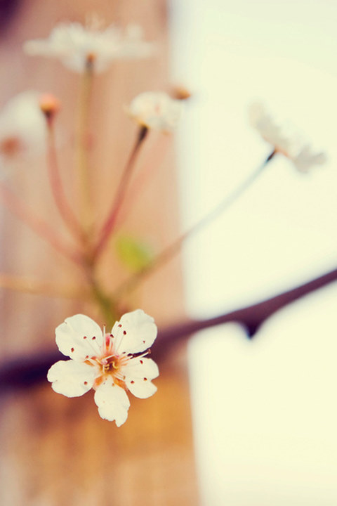 a_68880511.jpg