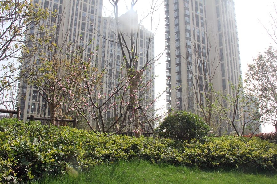 a_378268701.jpg