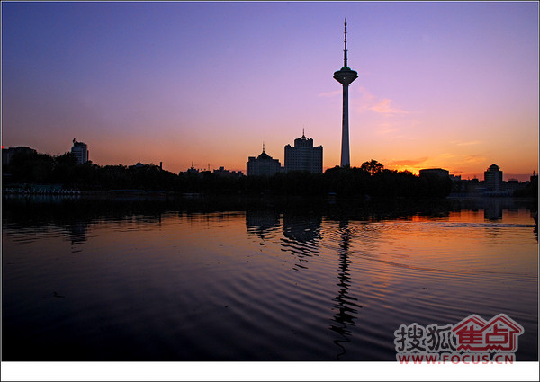 【华润·中央公园】发现沈阳春天的第一朵迎春花