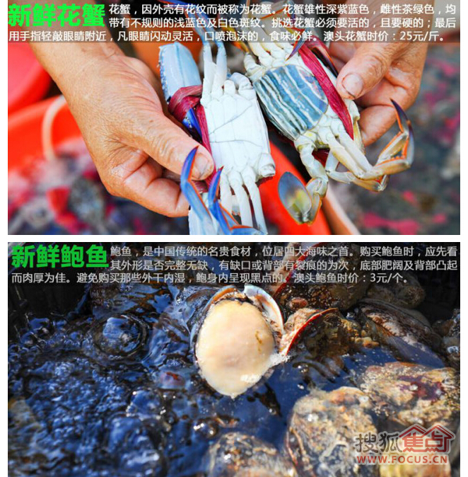 惠州澳头海鲜市场_海鲜街效果图_惠州澳头海鲜街