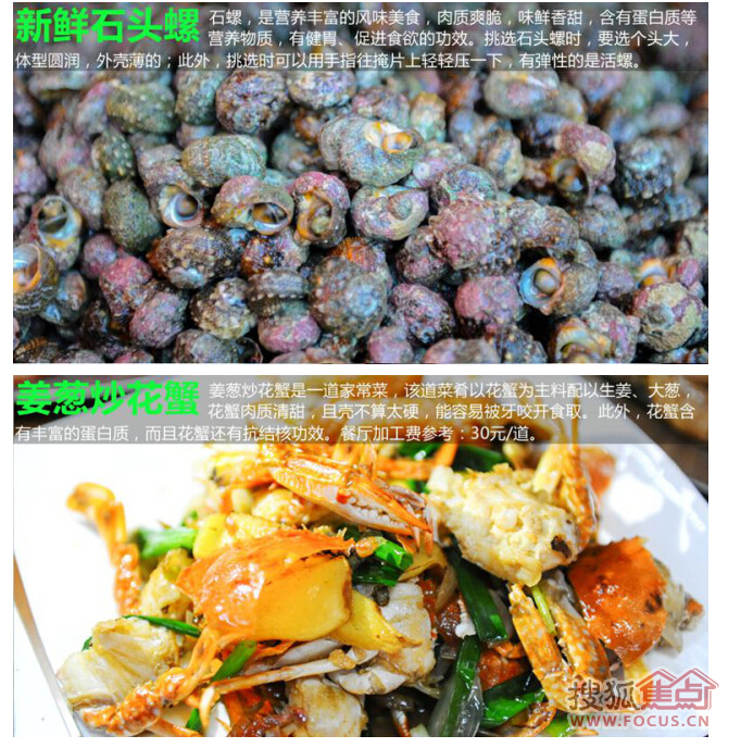 惠州澳头海鲜市场_海鲜街效果图_惠州澳头海鲜街