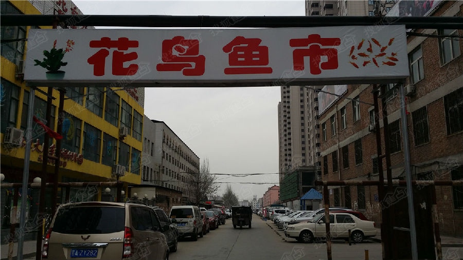 旁边是茶叶一条街还有花鸟虫鱼市场,未来的生活很多惬意哦