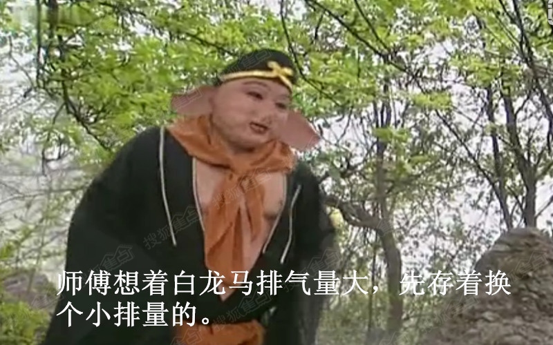 太搞笑了 唐僧的白龙马今后就栓到蒲城了