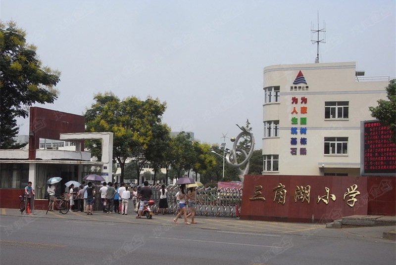 银通丽水天成周边三角湖小学-武汉搜狐焦点网