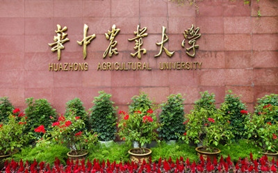 华中农业大学自主招生自荐信范文
