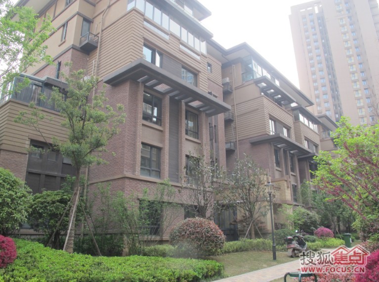 大华南湖公园世家